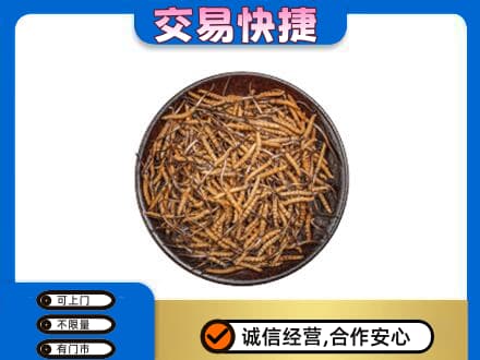 滦州市回收散虫草